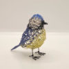 Wire Blue Tit