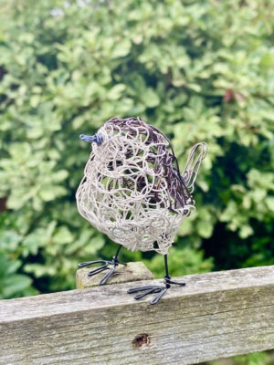 Wire Wren