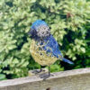 Wire Blue Tit