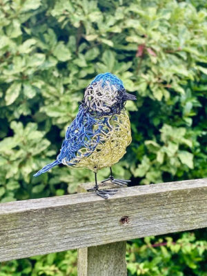 Wire Blue Tit