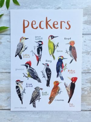 peckers a4 print