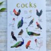 cocks a4 print