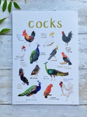 cocks a4 print