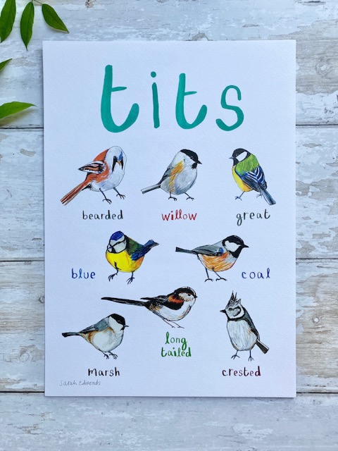 Tits A4 Print