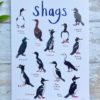 Shags Print