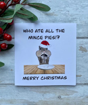 Who ate all the mince pies?!