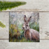 needle felt hare