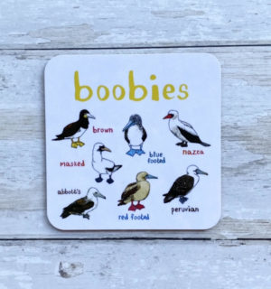 Bird coaster boobies