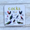 bird coaster cocks