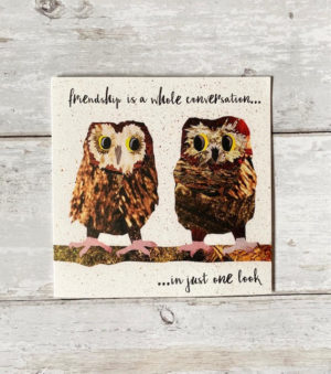 'Friendship is a whole conversation in just one look' greeting card