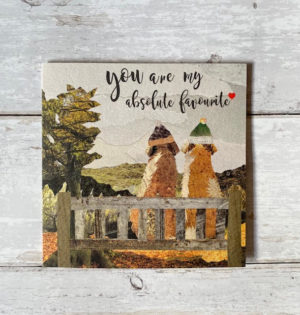 'you are my absolute favourite' greeting card